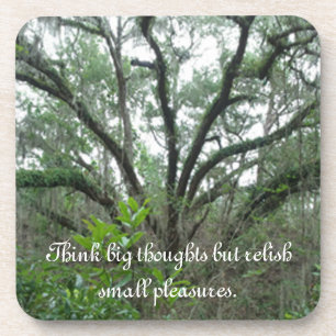 Les Dessous de verre d'arbres paisibles