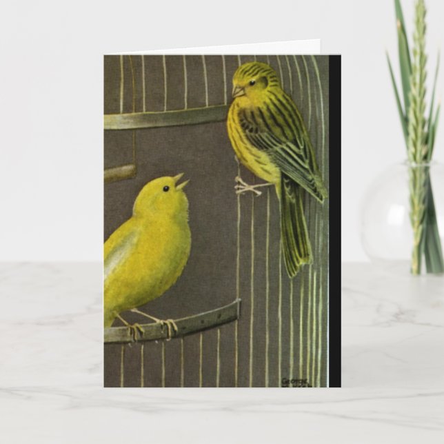 Les deux Canaries peignant la carte de voeux   (Devant)