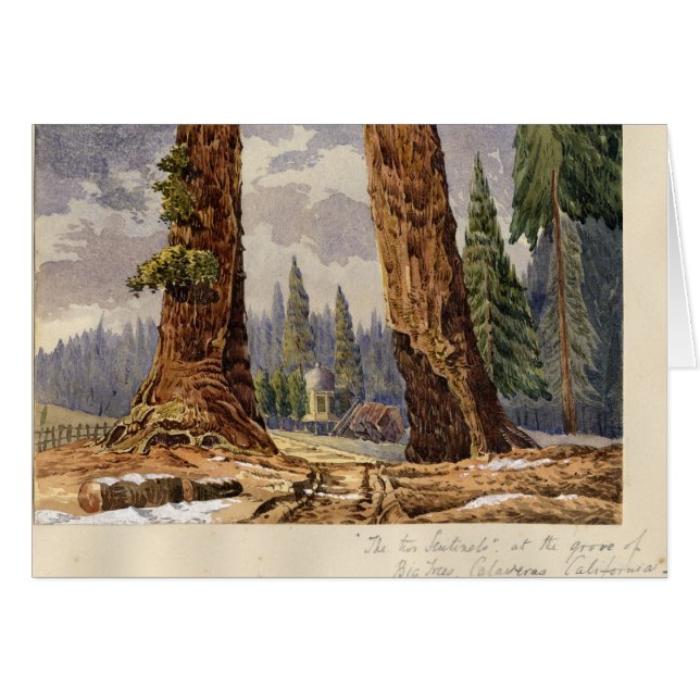 Les deux sentinelles, au verger de grands arbres (Devant horizontal)