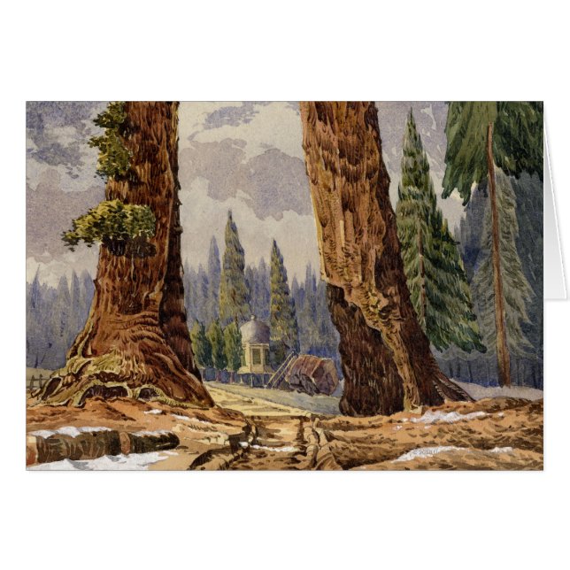 Les deux sentinelles, au verger de grands arbres (Devant horizontal)