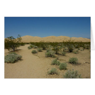 Les dunes de Kelso dans le parc national Mojave