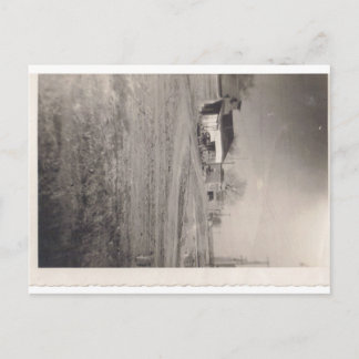 Les entreprises sur Pine Street Carte postale