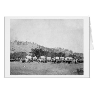 Les équipes d'ox et les Wagons dans une vallée des