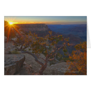 Les Etats-Unis, Arizona, canyon grand, point de