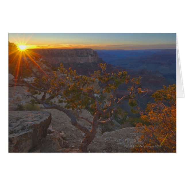 Les Etats-Unis, Arizona, canyon grand, point de (Devant horizontal)