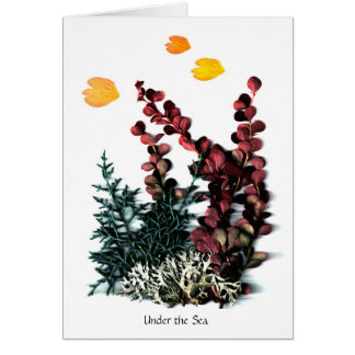 Les fantaisies de Phaedra - sous la mer