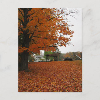 Les feuilles tombent de la carte postale