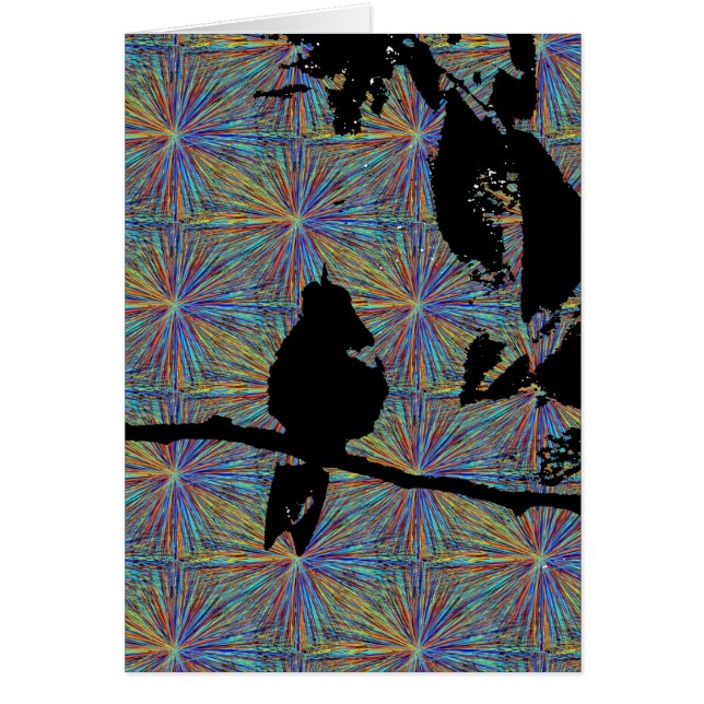 Les feux d'artifice des colibris (Devant)