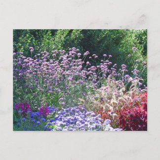 Les fleurs dans la carte postale du jardin anglais
