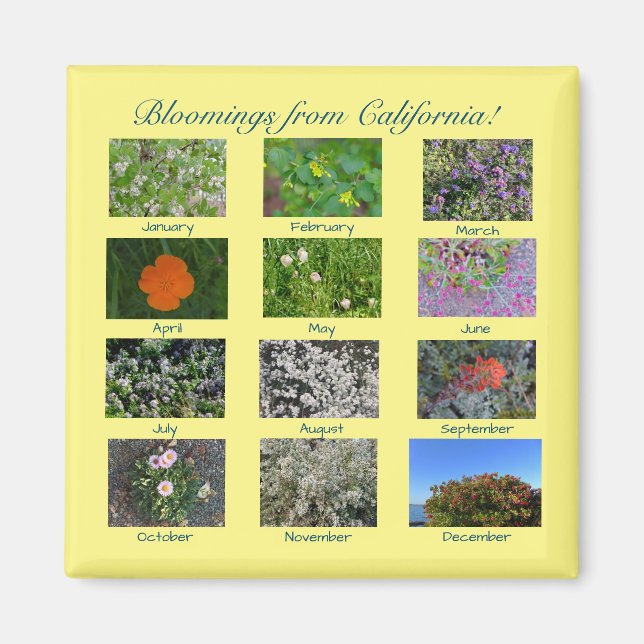 Les fleurs de Californie ! aimant (Devant)
