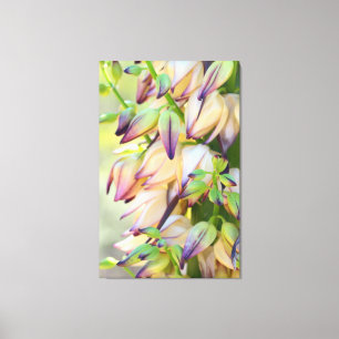 les fleurs de yucca ont enveloppé la toile