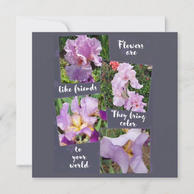 Les fleurs sont comme des amis (Devant)