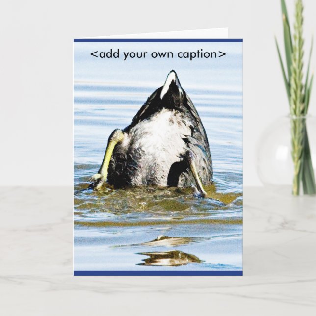 LES FONDS LÈVENT LA CARTE (Devant)