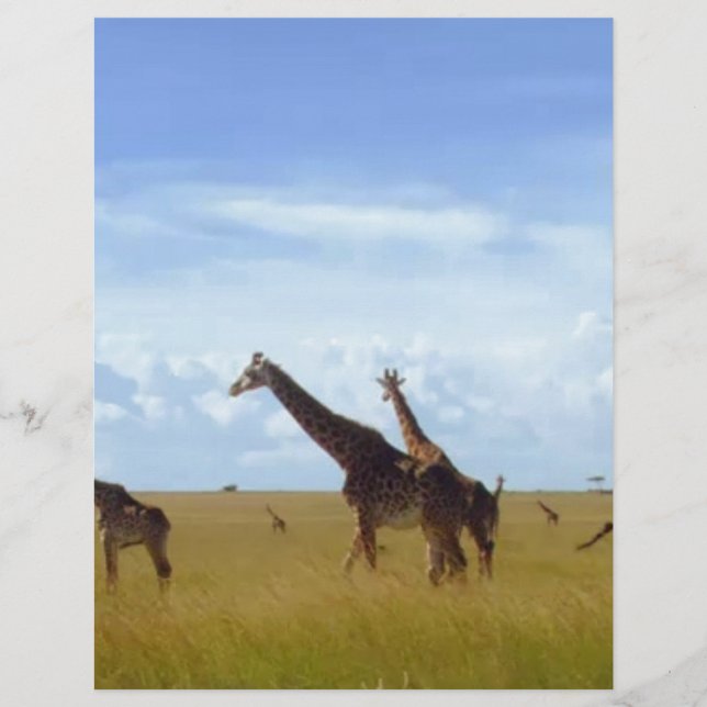 Les Giraffes du Parc National de Nairobi (Devant)