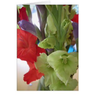 les gladiolas de la PAM