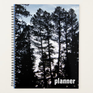Les grands arbres dans le planificateur de monts C