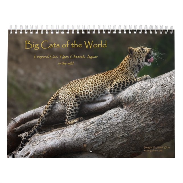 Les grands chats du calendrier mondial (Protection)