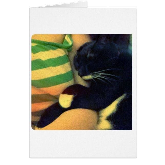 Les griffes de Lucy (Devant)