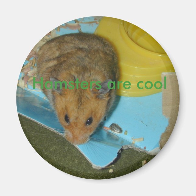Les hamsters sont un aimant cool (Devant)