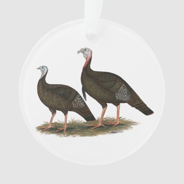 Les Jeunes Filles de Turkeys (devant)