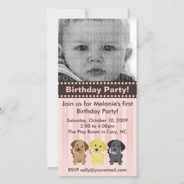 Les Labradors Invitation d'anniversaire rose (Devant)