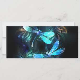 Les libellules du lac