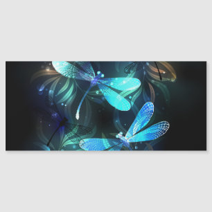 Les libellules du lac