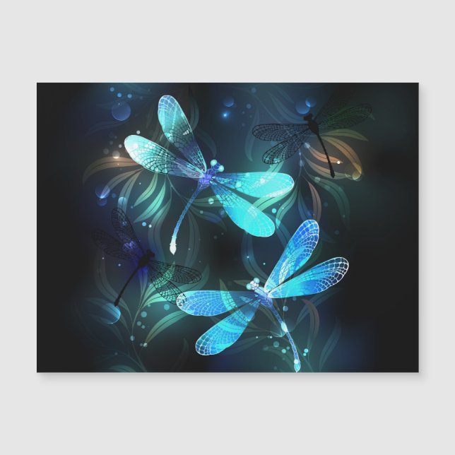 Les libellules du lac (Devant)