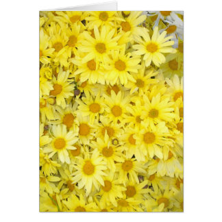 Les Marguerites Me Rendent Heureux