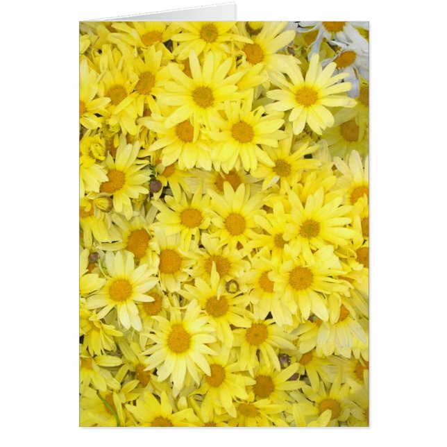 Les Marguerites Me Rendent Heureux (Devant)
