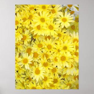 Les marguerites me rendent heureux Affiches et imp