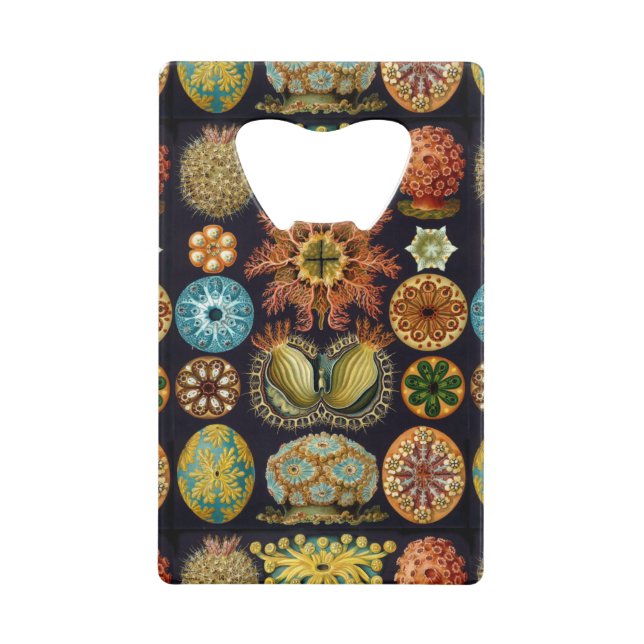 Les merveilles océaniques d'Ernst Haeckel (Devant)