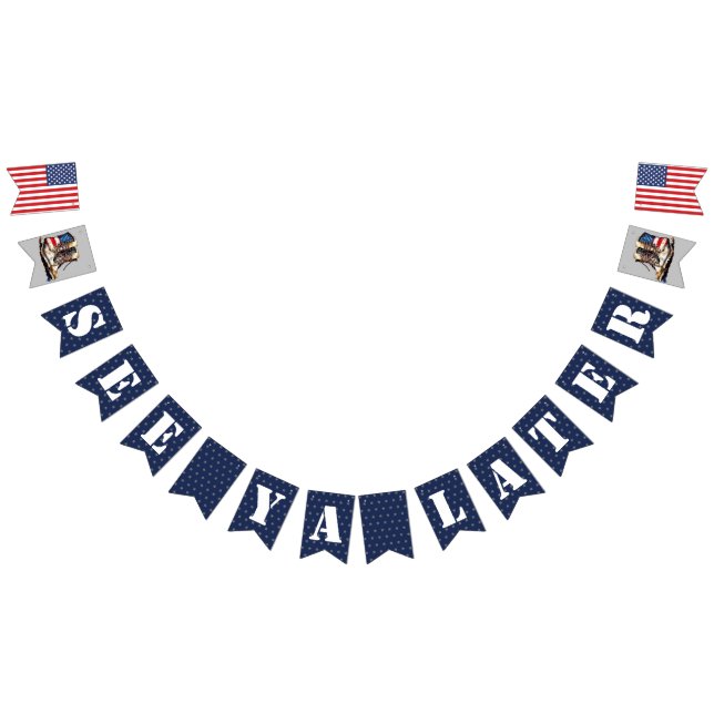 Les Militaires S'Éloignent Bannière Je Vois Ya Plu (Tout)