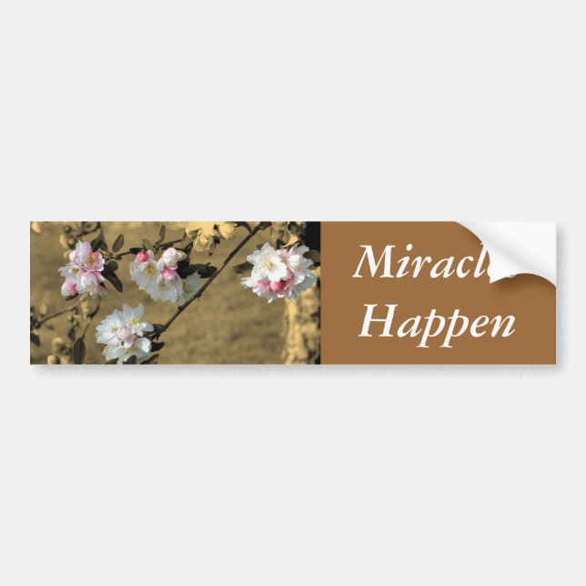 Les Miracles Se Produisent Sticker Motivationnel (Devant)