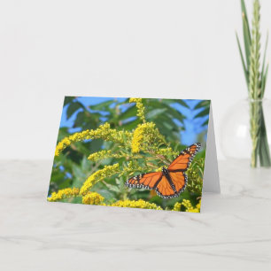 Les Monarques - Carte de voeux vierge