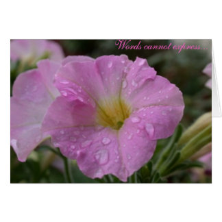 Les mots ne peuvent pas express...