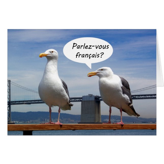 Les mouettes parlent français (Devant horizontal)