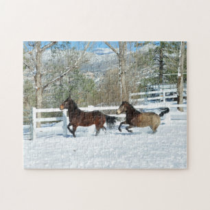 Les Mustangs courent au puzzle des neiges