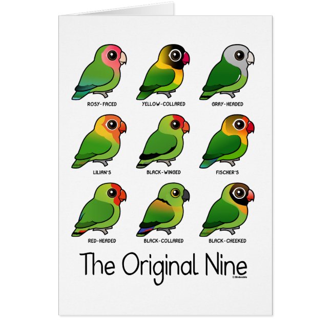 Les neuf originaux (Devant)