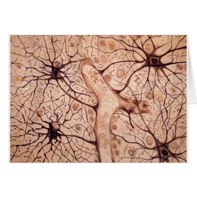 Les neurones 3 de Cajal (Devant horizontal)