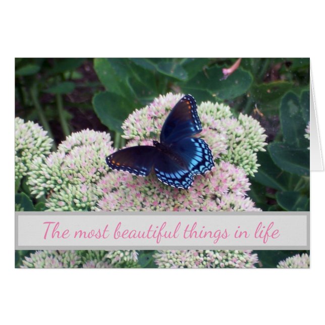 Les nouveaux endroits difficiles pour les papillon (Devant horizontal)