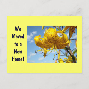 Les nouvelles cartes postales d'adresse se sont