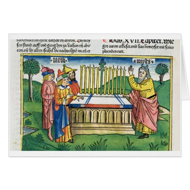 Les numéros 17 1-11 personnels d'Aaron fleurit sur (Devant horizontal)