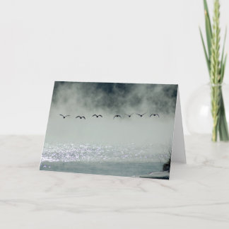 Les oies prennent la carte de vol