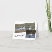 Les oiseaux d'une carte à notes vierge en plumes