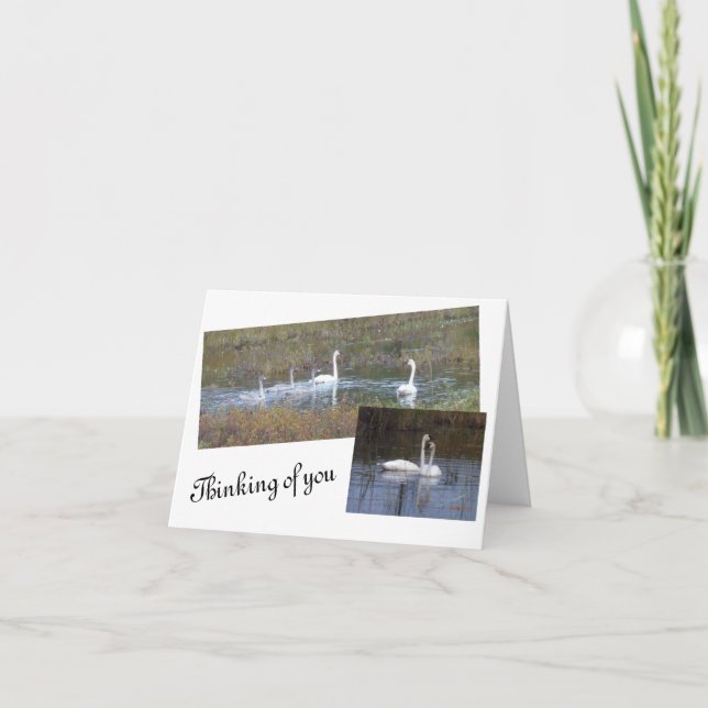 Les oiseaux d'une carte à notes vierge en plumes (Devant)