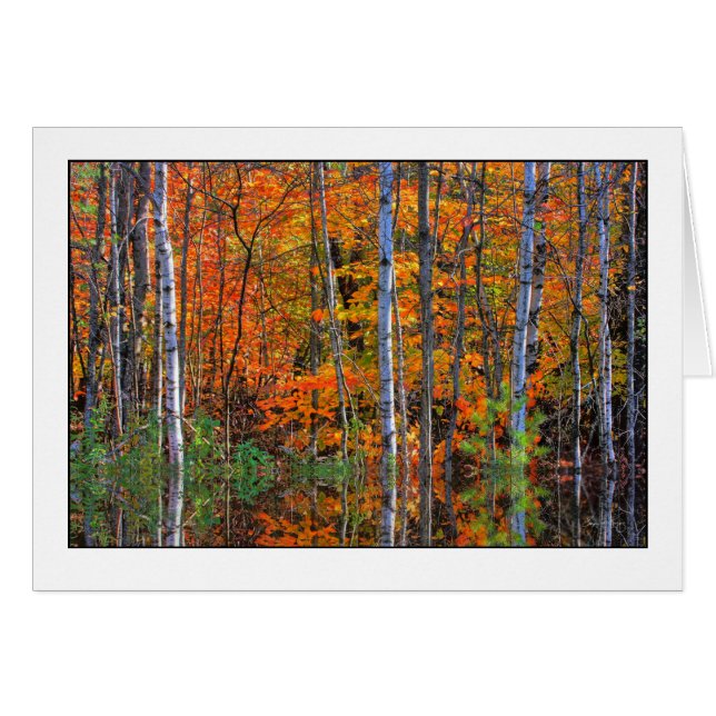 Les oiseaux en haute mer (Devant horizontal)