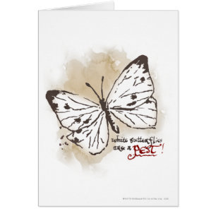 Les papillons blancs sont un animal nuisible