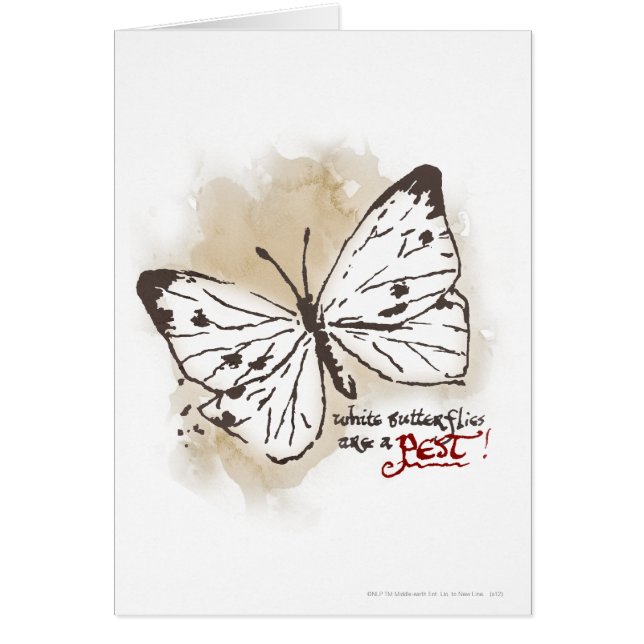 Les papillons blancs sont un animal nuisible (Devant)