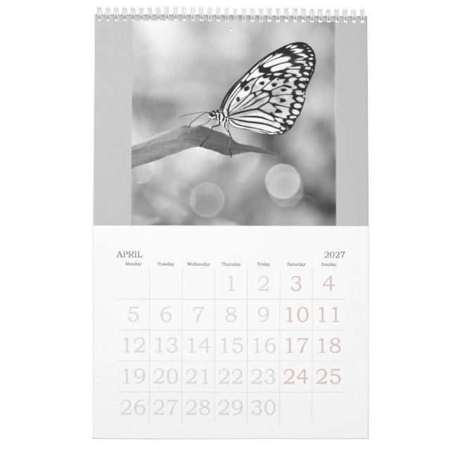 Les papillons sont toujours libres - un Calendrier (Apr 2027)